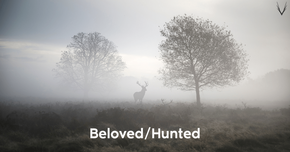 A standing and a lying red deer in the fog. Underneath the lettering Loved/Hunted